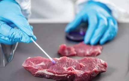 Лабораторные исследования мяса (фото из открытых источников)