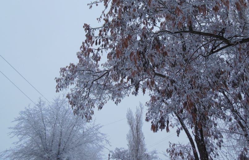 Зима (фото РОСГОД)
