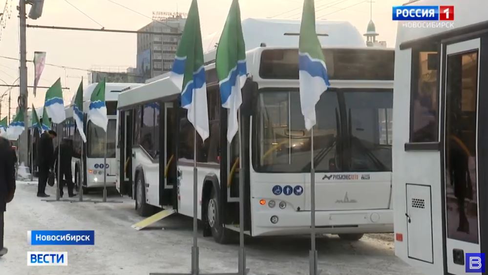 Автобусы из Белоруссии прибыли в Новосибирск (иллюстрация - стоп кадр репортажа ГТРК Новосибирск)