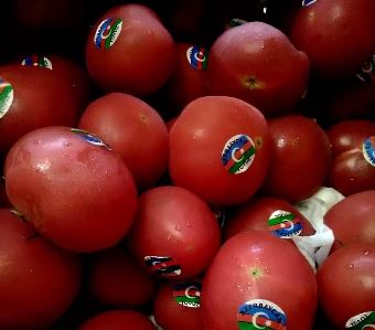 Азербайджанские помидоры (иллюстрация из открытых источников)