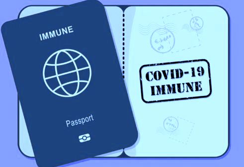 Иммунный паспорт (иллюстрация из открытых источников)