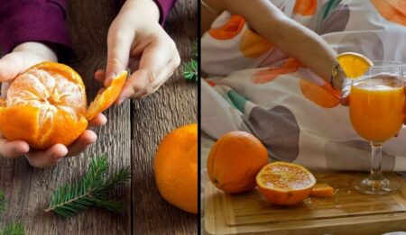 Мандарины и апельсины (коллаж РОСГОД - иллюстрации из открытых источников)