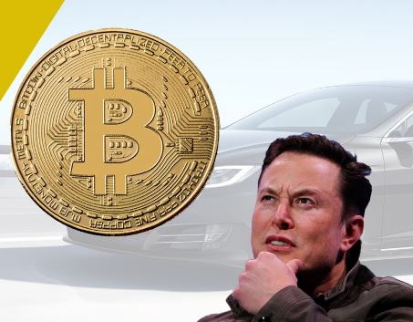 Tesla вложила в Bitcoin 1,5 млрд. долларов (иллюстрация из открытых источников)