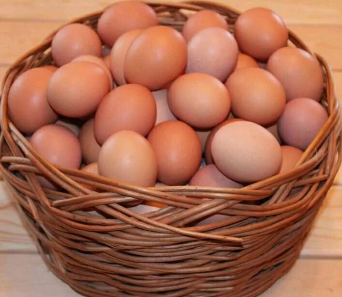 Домашние куриные яйца (иллюстрация из открытых источников)