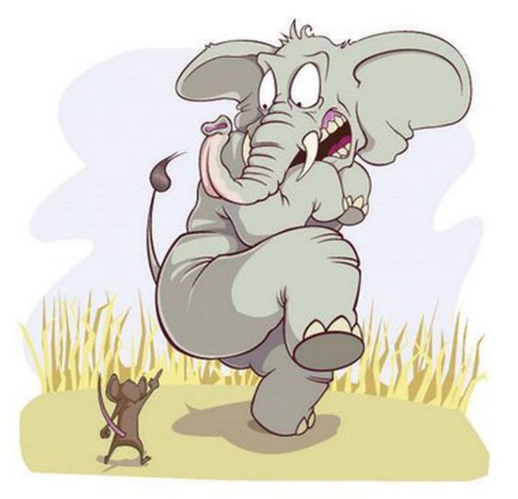 Говорят, что слоны боятся мышей (иллюстрация из открытых источников)