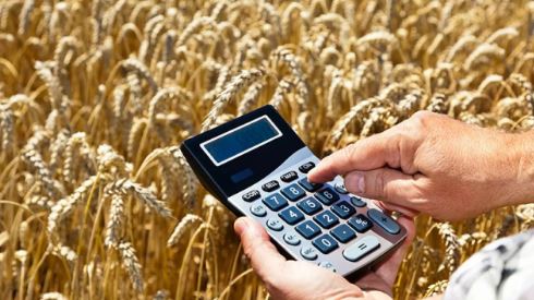 Россия перевела расчёты пошлины за экспорт зерновых культур в рубли