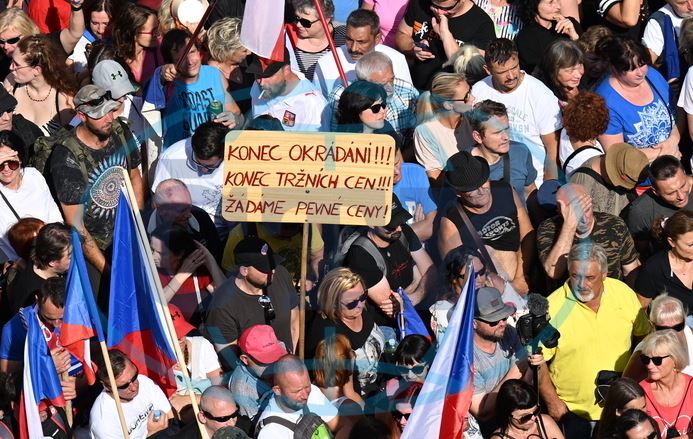 Чехи требуют отставки правительства
